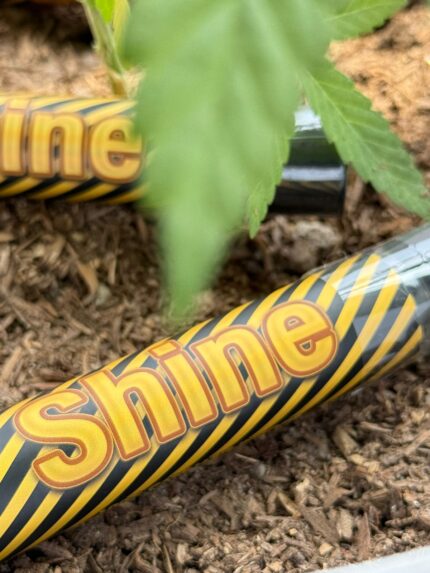 Pre roll marca shine